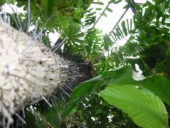 src/IMG_2716.JPG