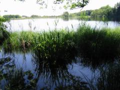 src/IMG_2983.JPG