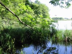 src/IMG_2984.JPG