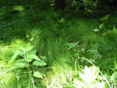 src/IMG_2994.JPG