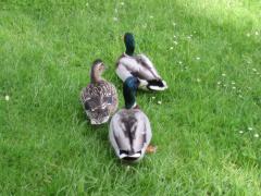 src/IMG_3219.JPG