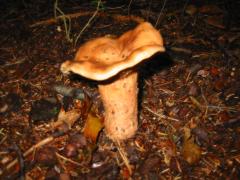 src/IMG_4299.JPG