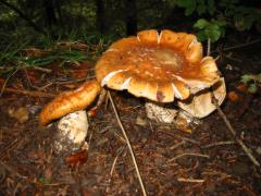 src/IMG_4300.JPG