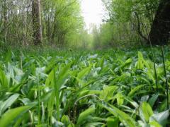 src/IMG_4997.JPG