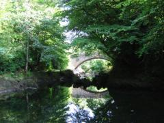 src/IMG_5511.JPG