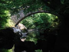 src/IMG_5512.JPG