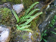 src/IMG_5519.JPG