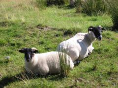 src/IMG_5569.JPG