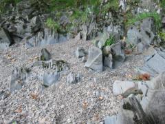 src/IMG_5945.JPG