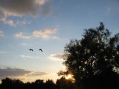 src/IMG_5972.JPG
