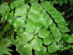 src/IMG_6145.JPG