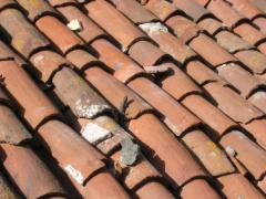 src/IMG_6477.JPG