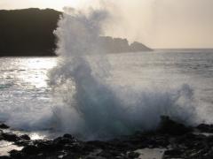 src/IMG_6524.JPG