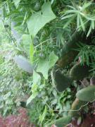 src/IMG_6689.JPG